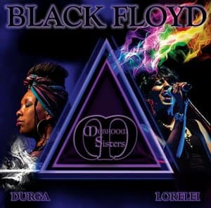 Black Floyd
