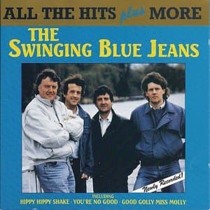 All the Hits Plus More