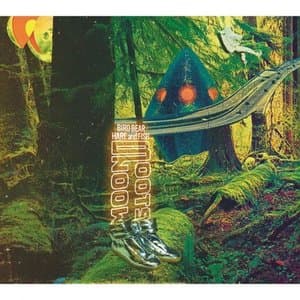 Moon Boots