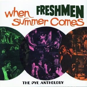 When Summer Comes: The Pye Anthology