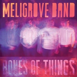Bones of Things