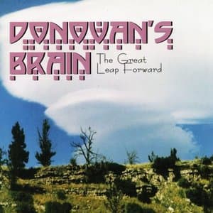 The Great Leap Forward