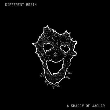 Different Brain