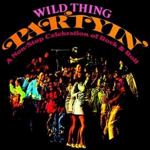 Partyin! A Non-Stop Celebration of Rock & Roll