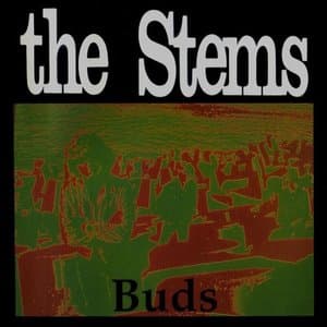 Buds