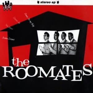 The Roomates at Sweet Beat Records