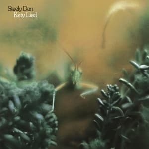 Katy Lied