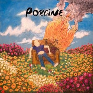 Porcine