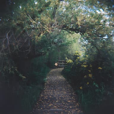 Bird Sanctuary