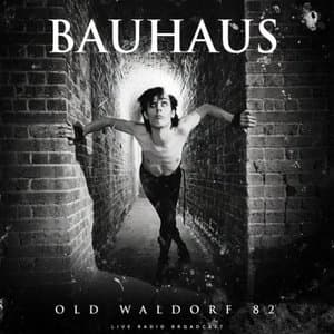 Old Waldorf 82 (live)