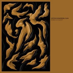 Bodies and Gold