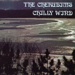 Chilly Wind