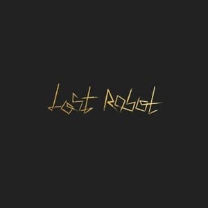 Lost Robot