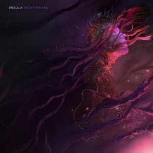 To Lift the Veil