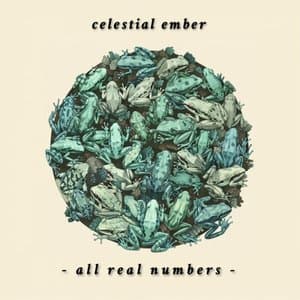 All Real Numbers