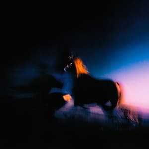 HORSES