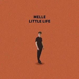 Little Life