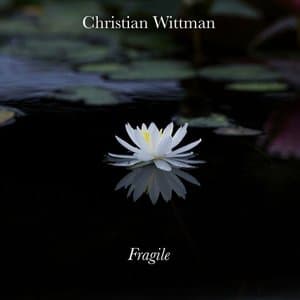 Fragile