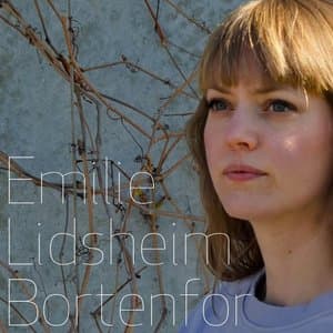 Bortenfor
