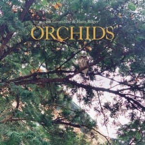 Orchids