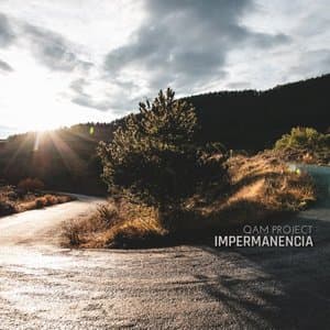 Impermanencia