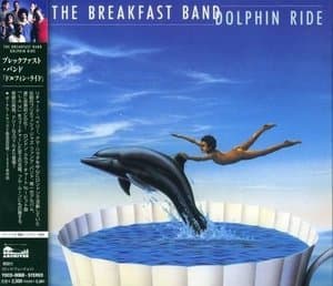 Dolphin Ride