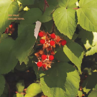 Hot Fruit