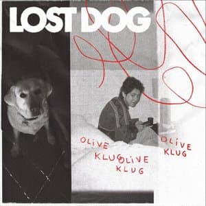 Lost Dog