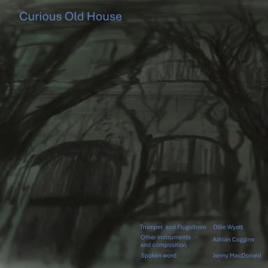 Curious Old House