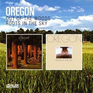Out of the Woods/Roots in the Sky
