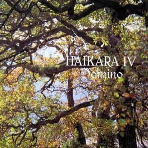 HaikaraIV - Domino
