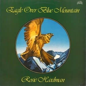 Eagle Over Blue Mountain