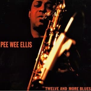 Twelve and More Blues