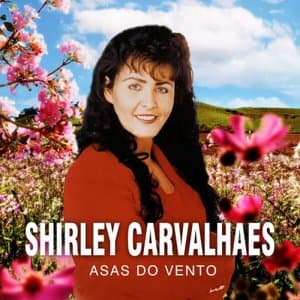 Asas do Vento