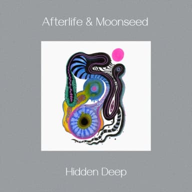 Hidden Deep