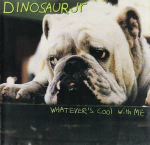 Whatevers Cool With Me