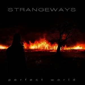 Perfect World