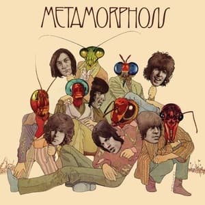 Metamorphosis