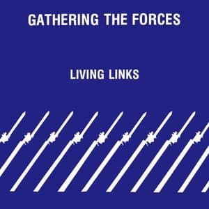 Gathering The Forces