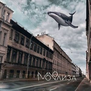 Кит