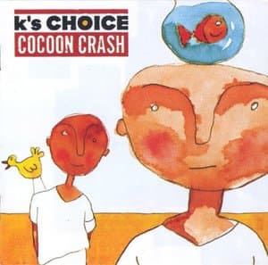Cocoon Crash