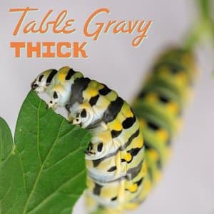 Thick