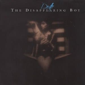 The Disappearing Boy