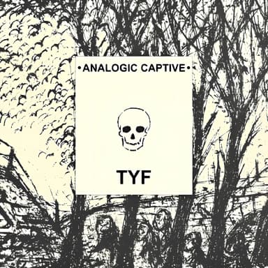 TYF (1996-1999)