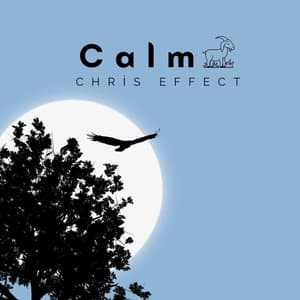 Calm