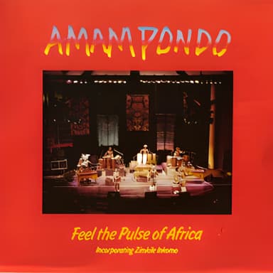 Feel the Pulse of Africa