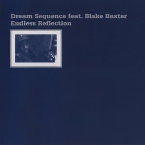 Endless Reflection