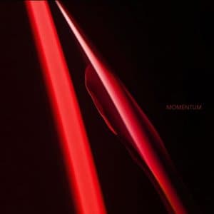 Momentum