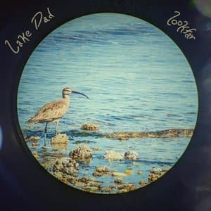 Lookfar