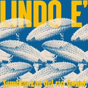 Lindo E